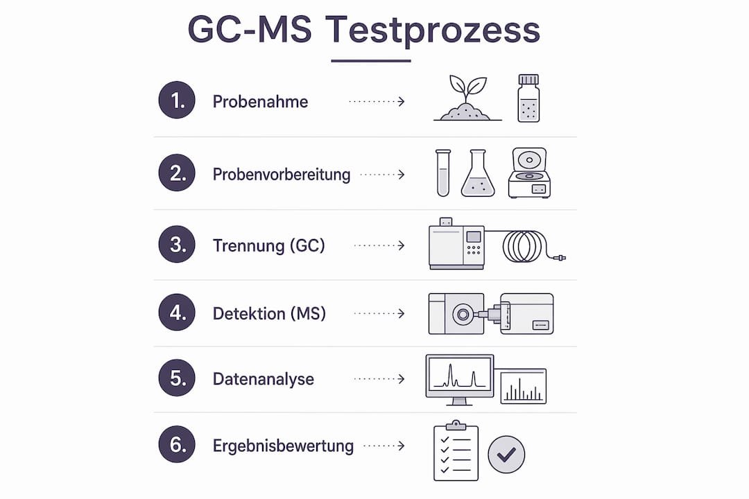 Eine Infografik veranschaulicht die sechs Schritte eines GC-MS-Tests auf einen Blick.